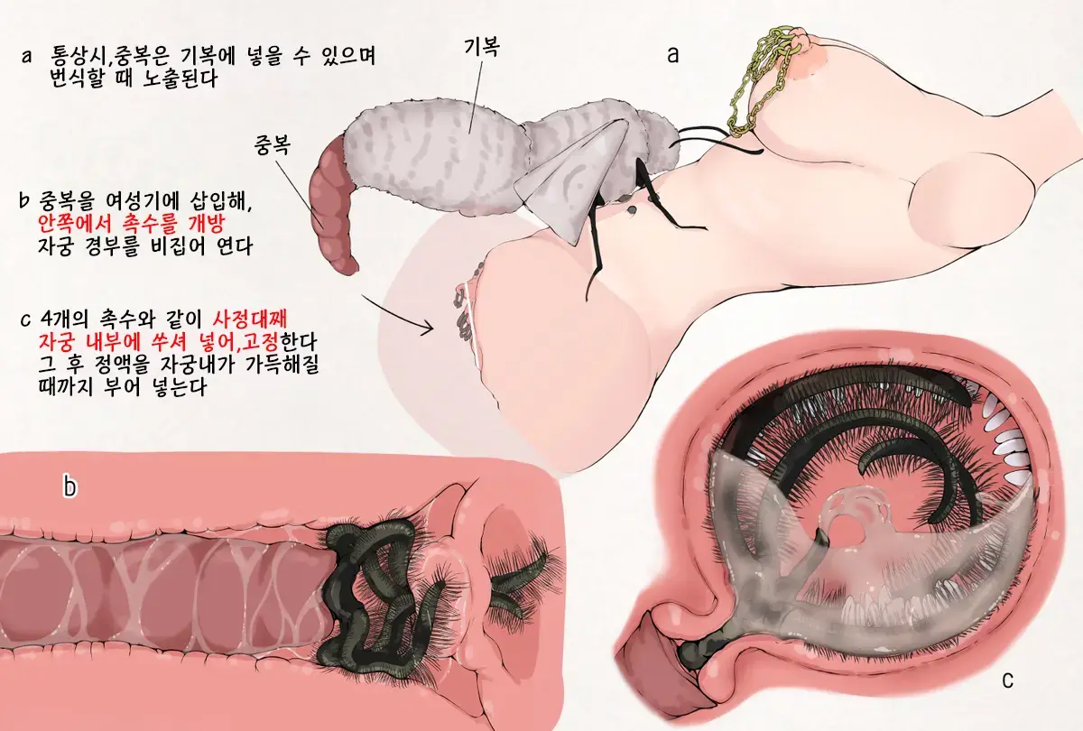 Insect Research Report EX